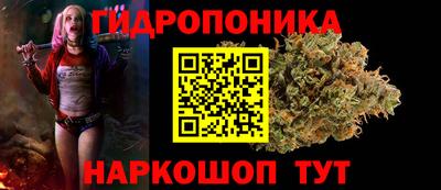 spice Кинель